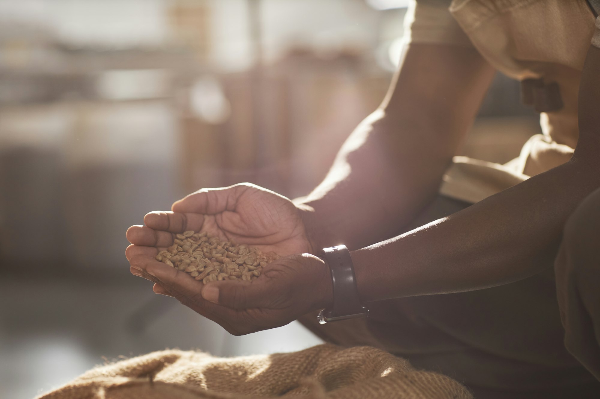 Unrecognizable Black Man Holding Green Coffee Beans in Hands in Roastery